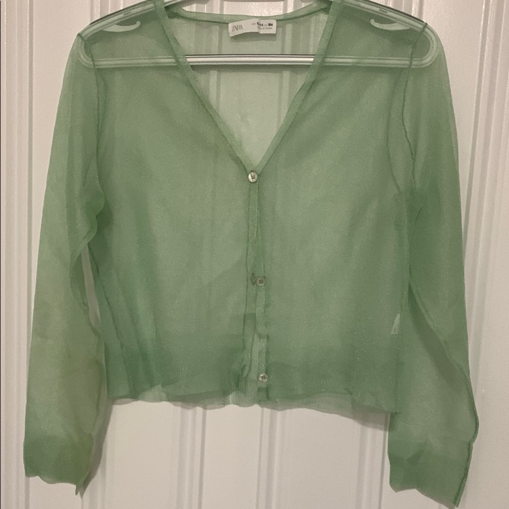 Zara Light Green Sheer Top